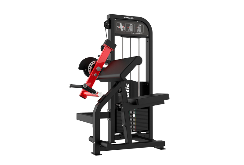 AVF - Dynamic Biceps & Triceps Extension