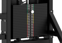 AVF - Dynamic Pull Down & Low Row