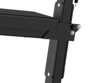 AVF - Dynamic Rear Delt & Pec Fly
